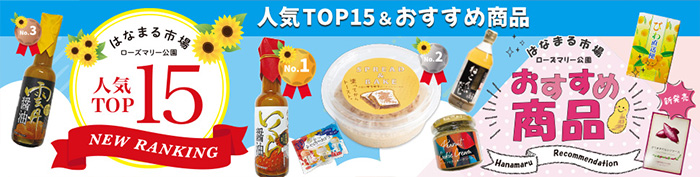 人気TOP15（PDF）