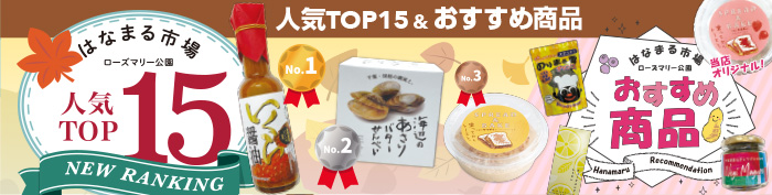 人気TOP15（PDF）