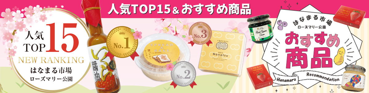 人気TOP15（PDF）