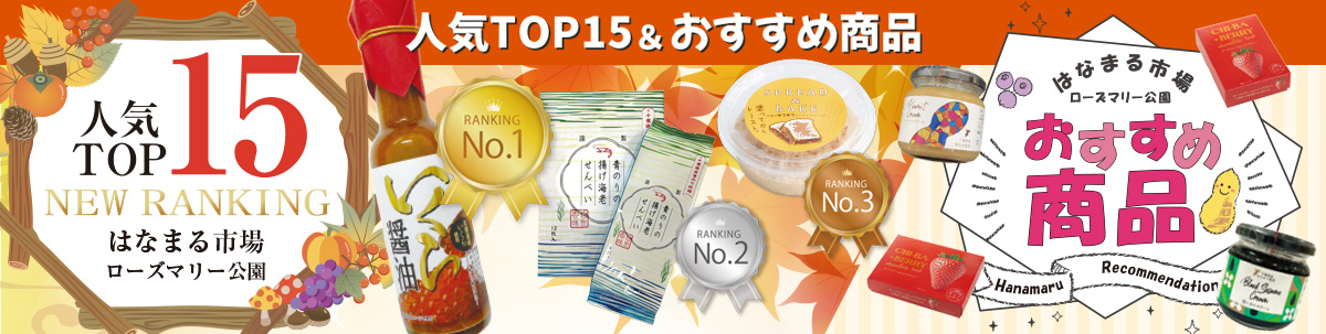 人気TOP15（PDF）
